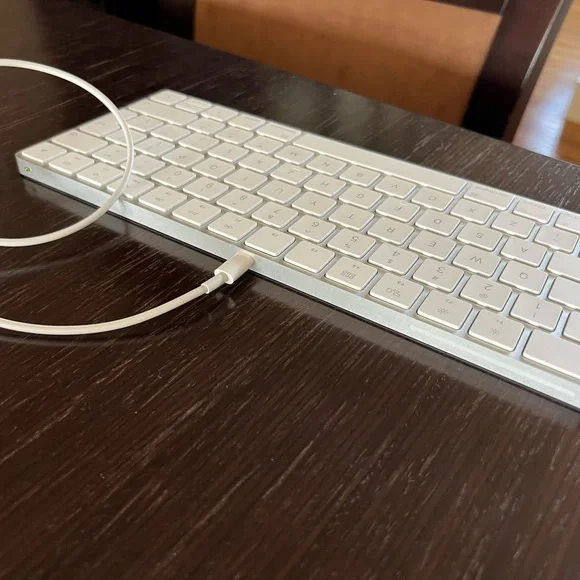 Apple - Wired Magic Keyboard (Lightning Port) - Silver/White